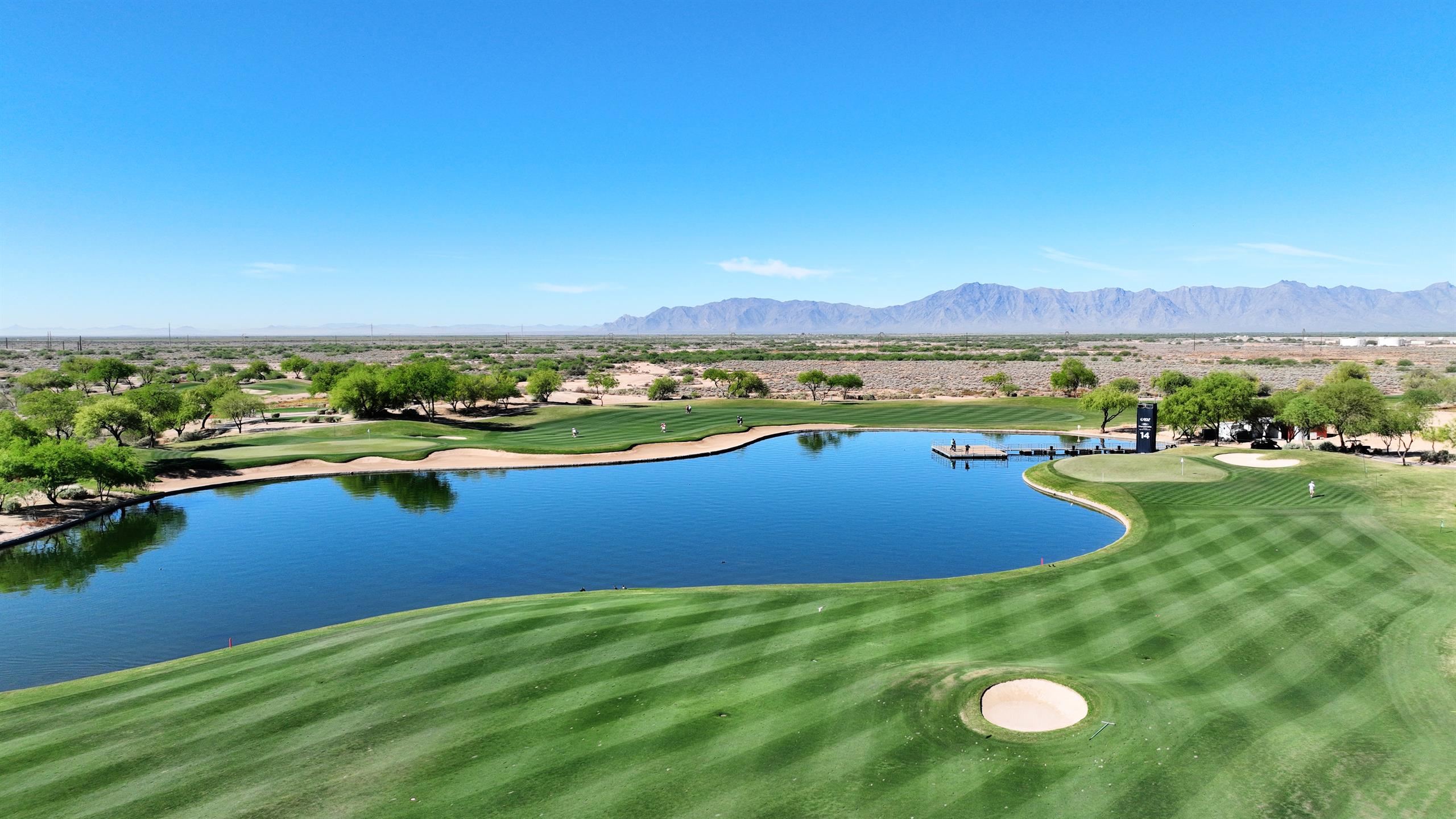 Cattail_14_and_5_March_2026