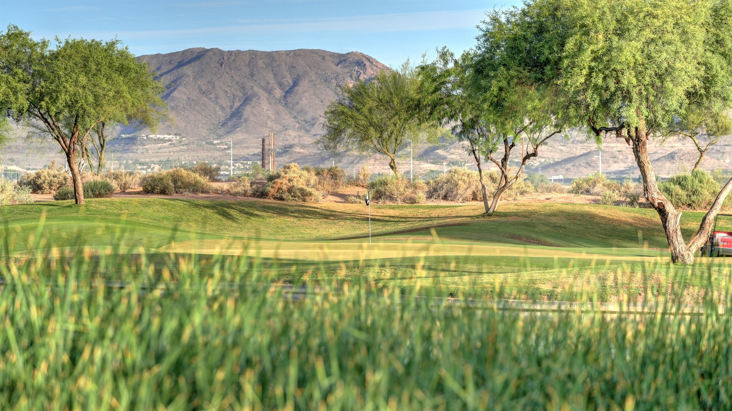 DSC09506_07_08_09_10_Optimizer_copy