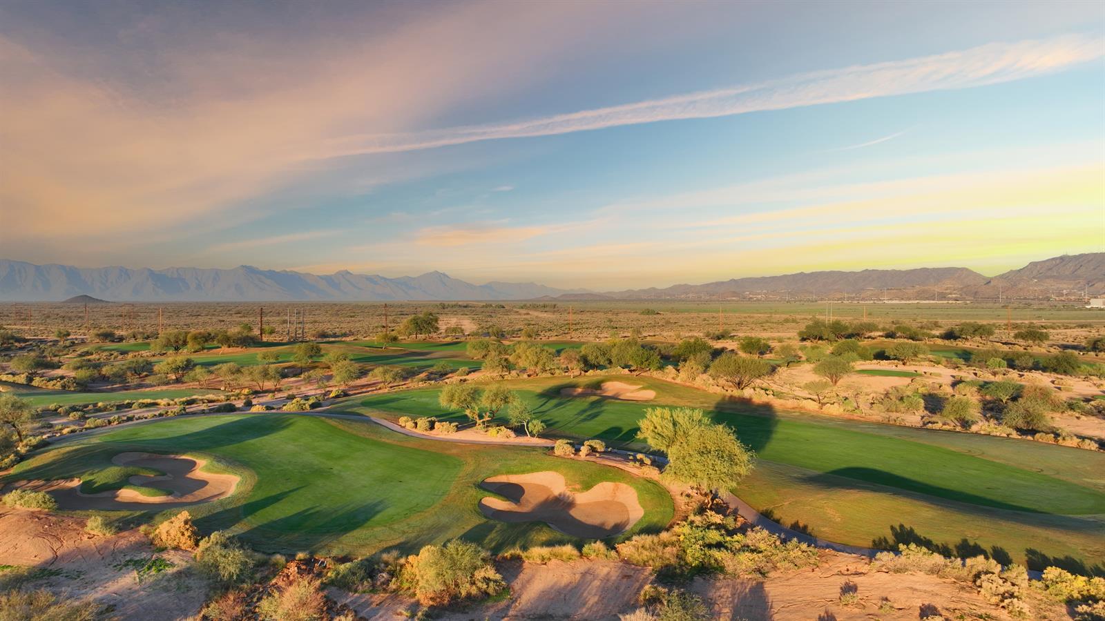 Devils_Claw_8_and_others_Sunrise