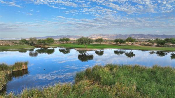 Cattail number 3 looking from 16