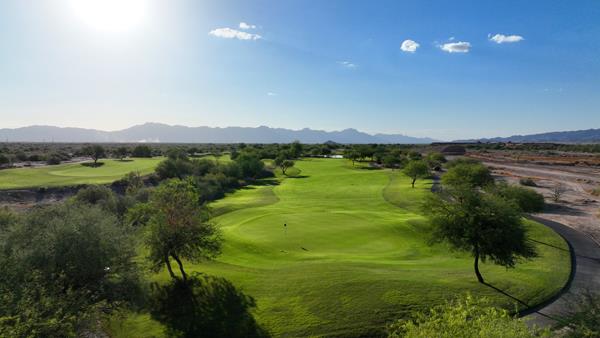 Cattail Hole 17