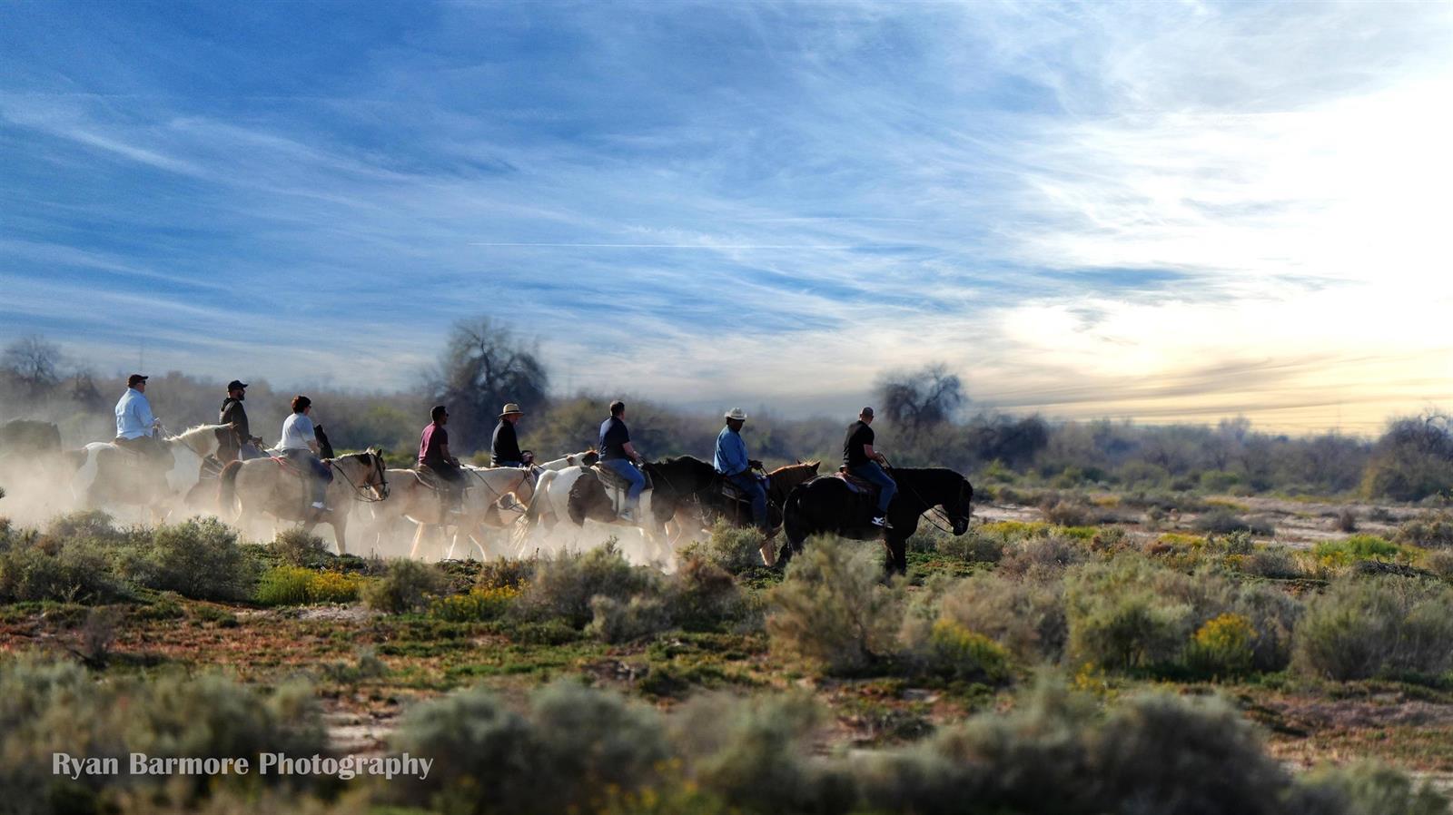 Koli Equestrian - evening ride